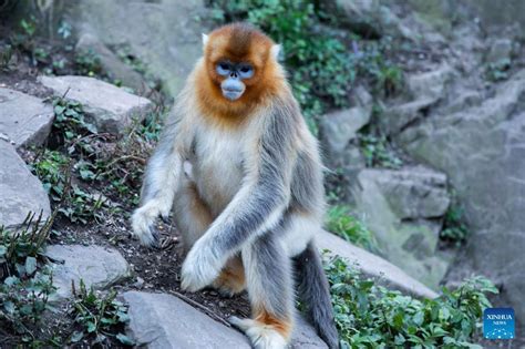 玉合公園的多元風貌探討與尋味之旅